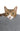 Pet2go Image Antiestres_perro_4_gris_oscuro.jpg