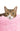 Pet2go Image Antiestres_perro_4_rosa_claro.jpg