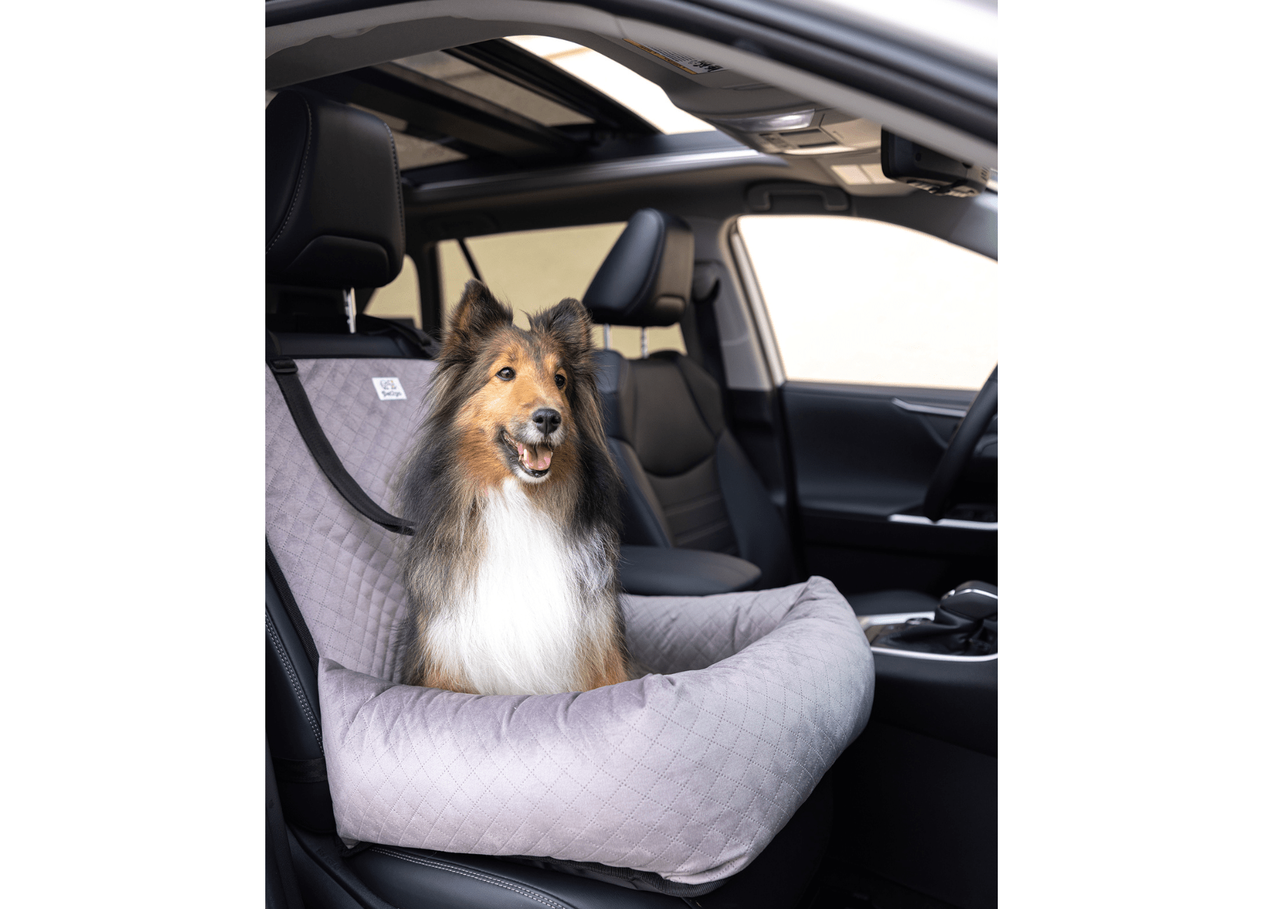 Pet2go Image Autoasiento de coche para perro - 100% lavable - Pet2Go - AUTOA-01