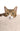 Pet2go Image Cama Antiestrés - relajante y 100% lavable - Pet2Go - AE-S-14