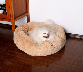 Pet2go Image 5 artículos imprescindibles para perros pequeños - Pet2Go