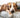Pet2go Image ¿Por qué es importante que la cama de tu perro sea 100% lavable? - Pet2Go