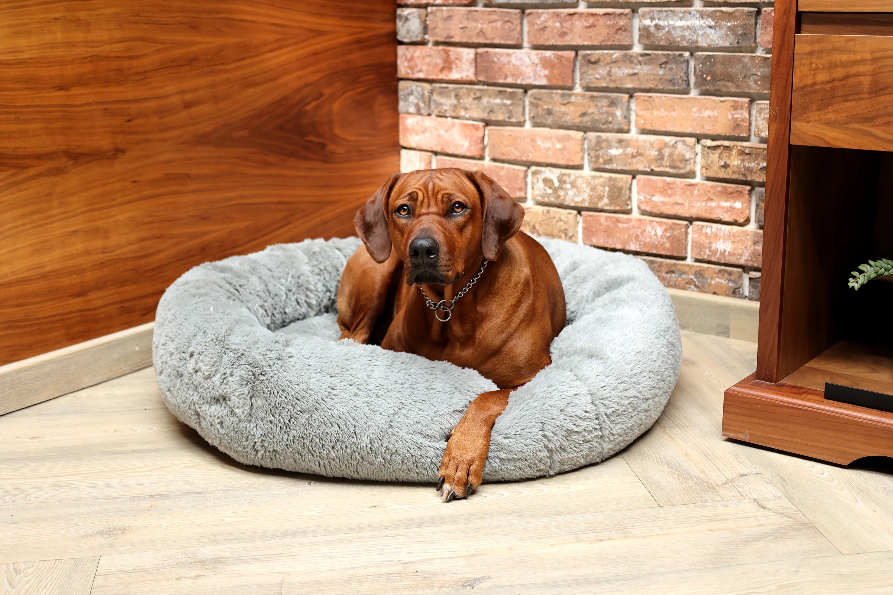 CopcoPet - Cama Para Perros Travel Bed Para Maletero De Piel W 1019705