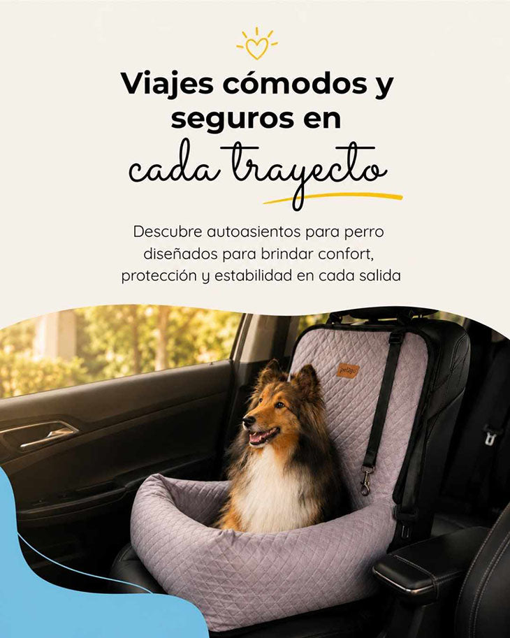 Pet2go Image Autoasiento_movil_3_RECUCIDA.jpg