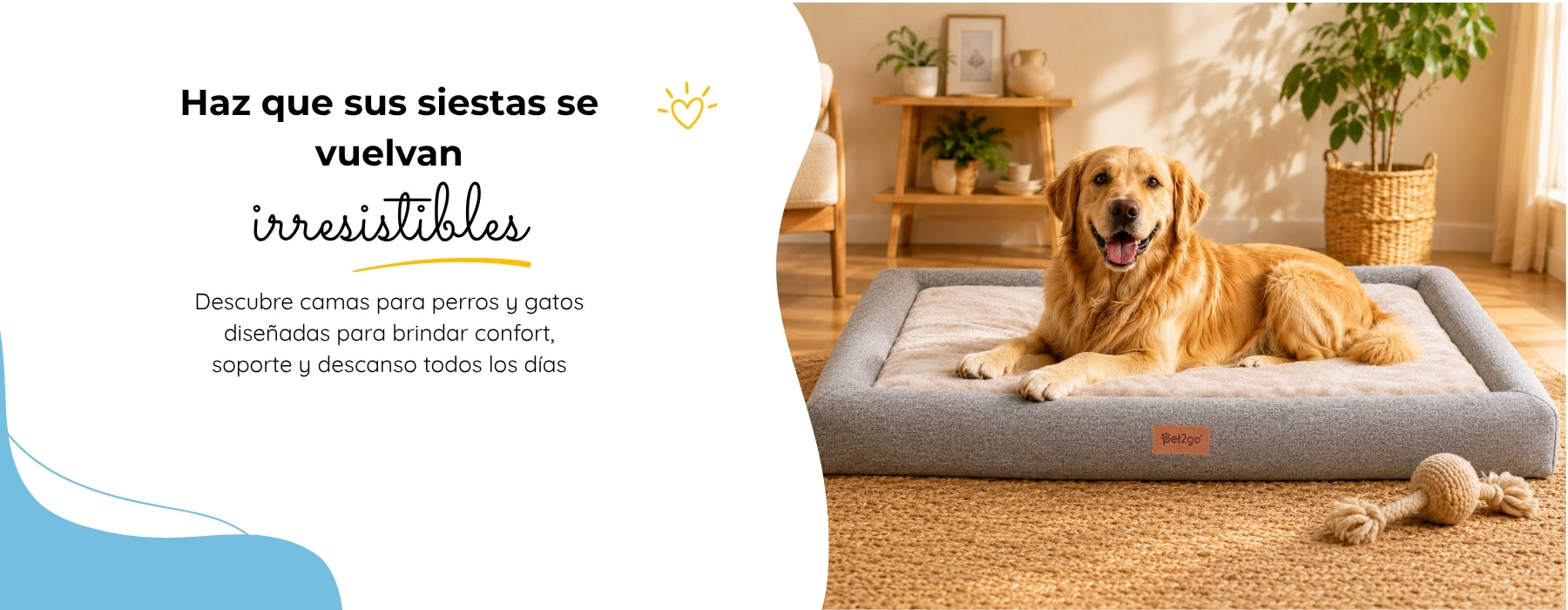 Pet2go Image Camas_3.jpg