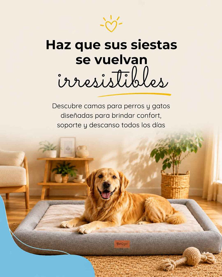 Pet2go Image Camas_movil_3_REDUCIDA.jpg
