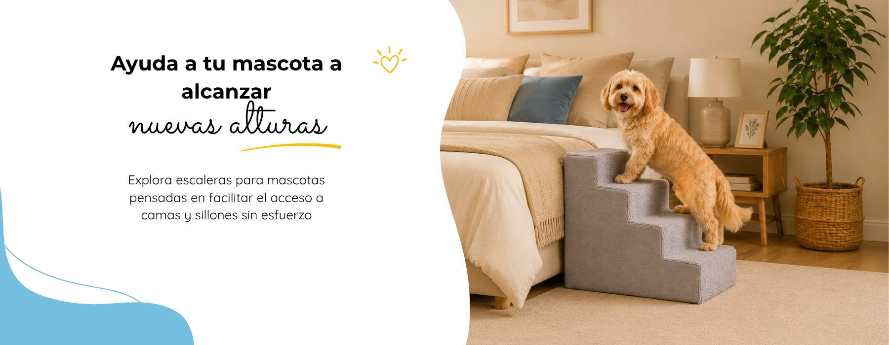 Pet2go Image Escaleras_3_2d4e1f0c-e1d5-4f12-91fd-60cc54c9c416.jpg