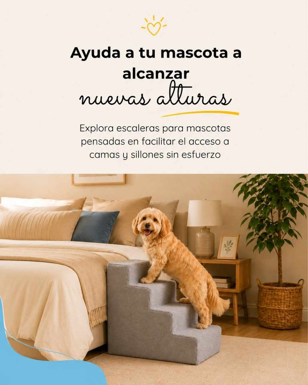 Pet2go Image Escaleras_movil_3.jpg