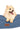 Pet2go Image Close-up Perro pomerania descansando sobre cama Style Mediana Pet2Go azul con tela de tapicería resistente y relleno distribuido uniformemente.