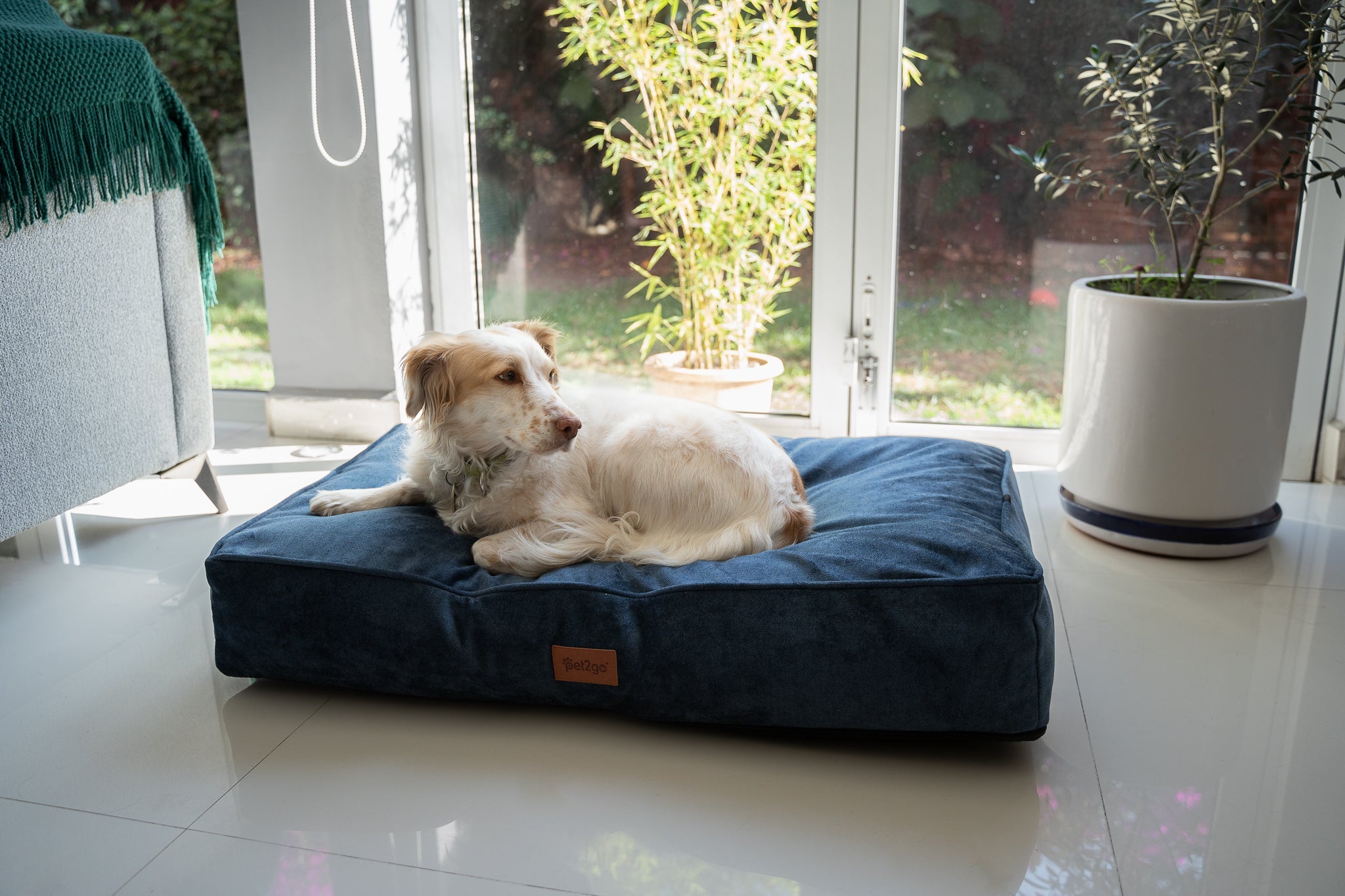 Pet2go Image Cama Style Premium - resistente y 100% lavable - Pet2Go - 