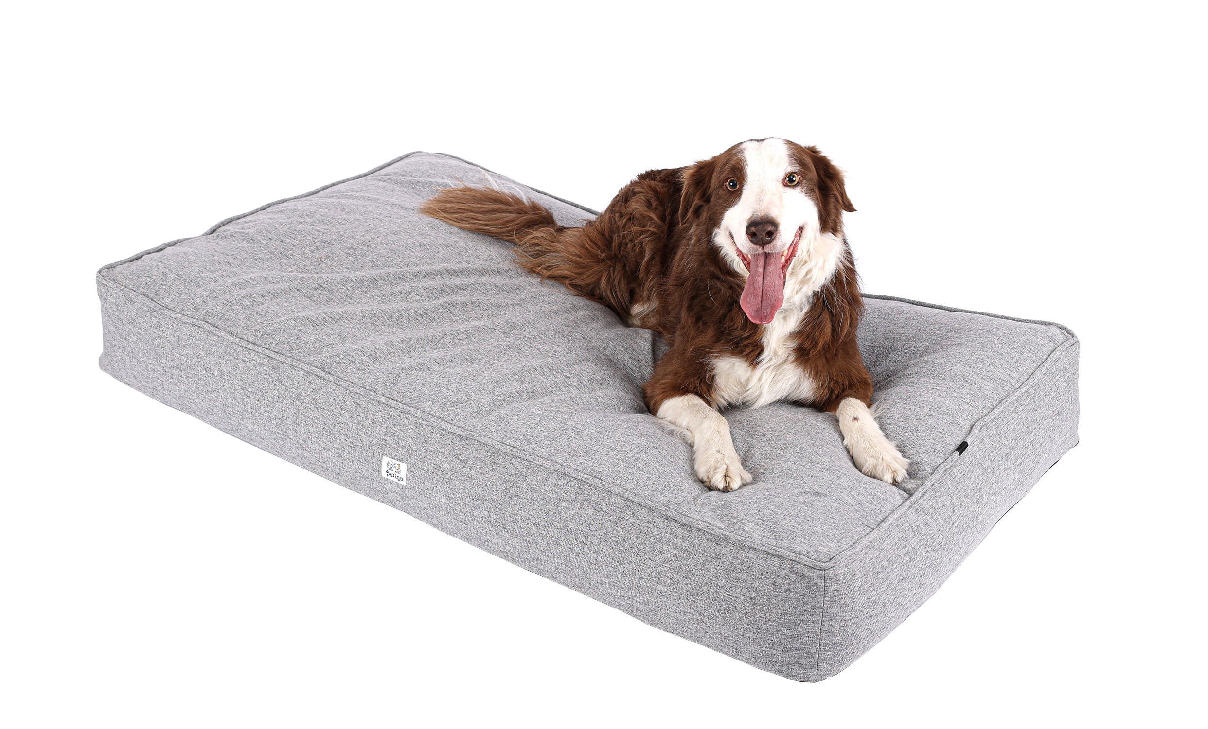Cama Style resistente y 100% lavable – Pet2Go - Main Image