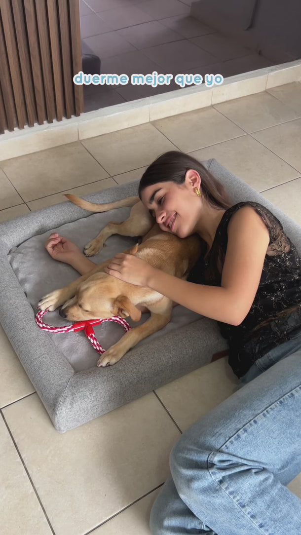 Video de una persona y su perro descansando sobre la cama ortopédica Pet2Go Cozy gris claro talla Mediana.
