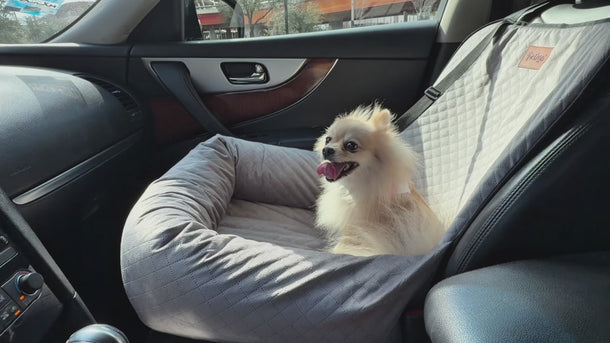 Video de Asiento de coche para perro Pet2Go color gris claro instalado en el asiento delantero de un automóvil con un perro viajando cómodamente.